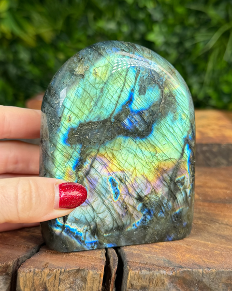 Multicolored labradorite stone held by a hand with red nail polish against a blurred green background.