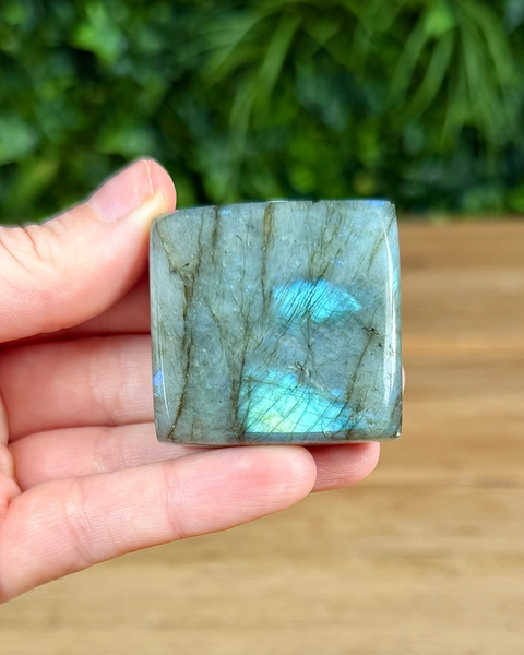 Labradorite stone held in a hand with a blurred green leafy background
