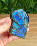 Hand holding a labradorite crystal with blue and green patterns against a blurred natural background