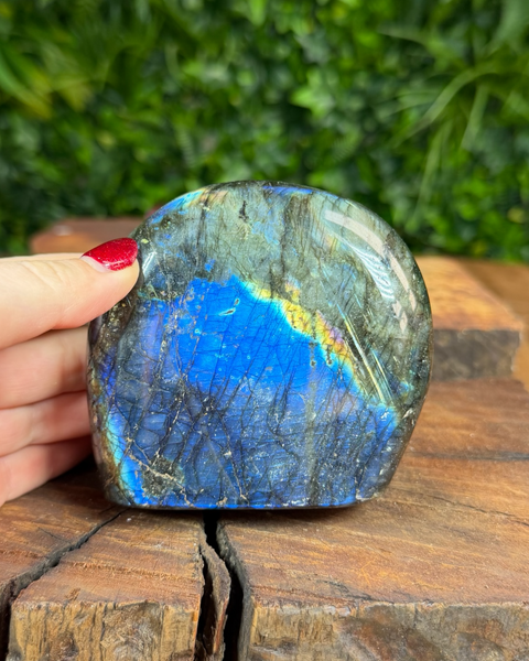 igh-flash labradorite freeform with multicoloured reflections
