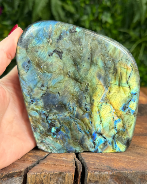 Multicolour labradorite freeform with blue and green flash
