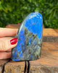 Hand holding a large blue and green labradorite stone on a wooden surface with a blurred green background