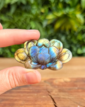 labradorite lotus flower held in hand with natural background