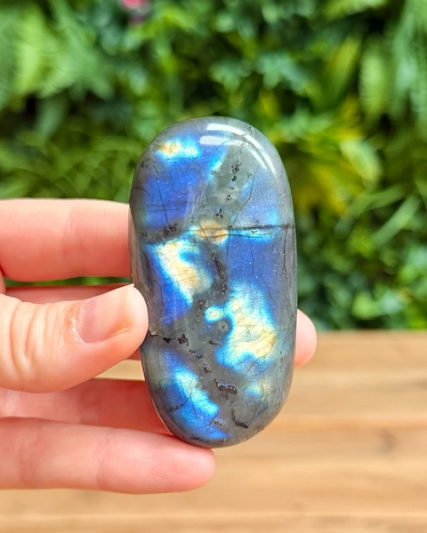 Labradorite stone held in a hand with a blurred green outdoor background