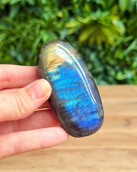 Hand holding a Labradorite stone with a blue and gold pattern against a blurred green background