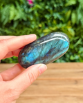 Hand holding a labradorite stone with a blurred green foliage background