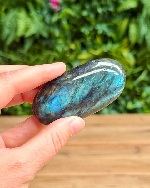 Hand holding a labradorite stone with a blurred green foliage background