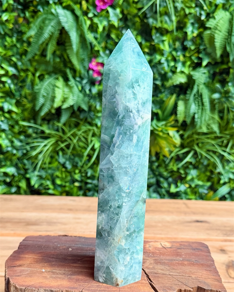 Green crystal obelisk on a wooden stand with a green leafy background