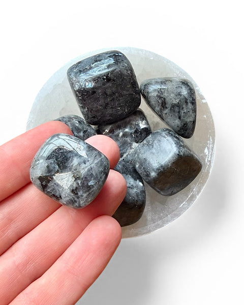 Hand holding larvikite tumble stone