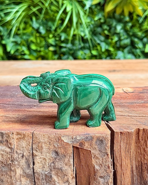 Green malachite elephant figurine on a wooden surface with a blurred green foliage background
