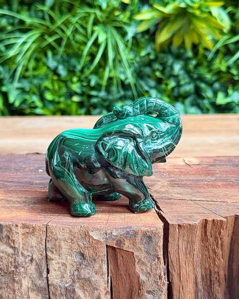 Green elephant figurine on a wooden surface with a blurred green foliage background