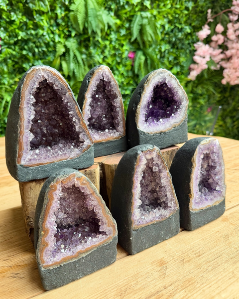 Six natural amethyst geode cave wall art pieces with dark gray stone faces and purple crystal interiors, displayed on a wooden surface with a green garden background.