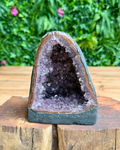 A cut amethyst geode specimen with a dark gray outer matrix and a purple crystal interior, displayed on a wooden block with a blurred green foliage background.