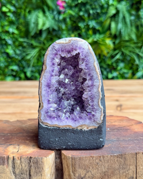 A natural amethyst geode with a purple crystal cavity and a dark gray stone base, displayed on a rustic wooden surface with a blurred green foliage background.