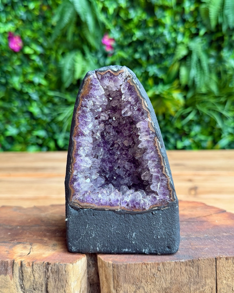 A raw amethyst geode dome with a dark gray natural stone base, displayed on a rustic wooden block with a blurred green foliage background.