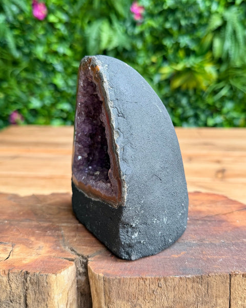 A raw amethyst geode slice display piece with a dark gray textured outer crust and a purple crystal interior, standing upright on a rustic wooden log with a blurred green garden background.