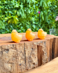 Three orange calcite chicks on a wooden surface with green foliage in the background