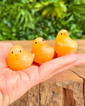 Three small orange chicks on a hand with a blurred green leafy background