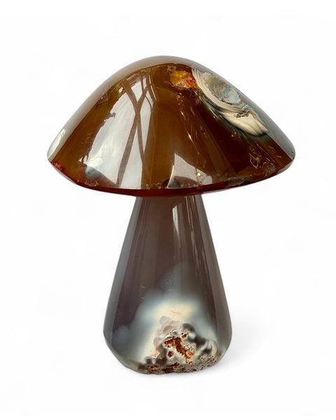 Agate mushrooms