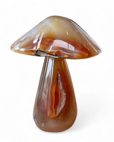 Agate mushrooms