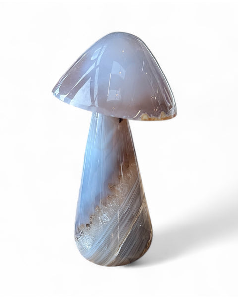 Agate mushrooms