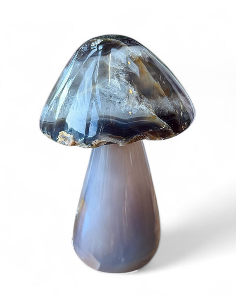 Agate mushrooms