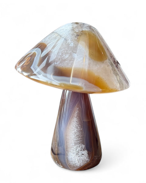 Agate mushrooms