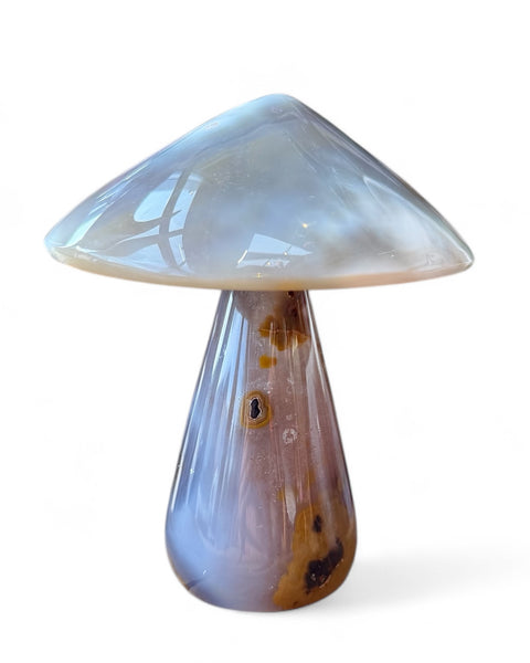 Agate mushrooms