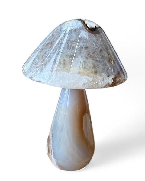 Agate mushrooms
