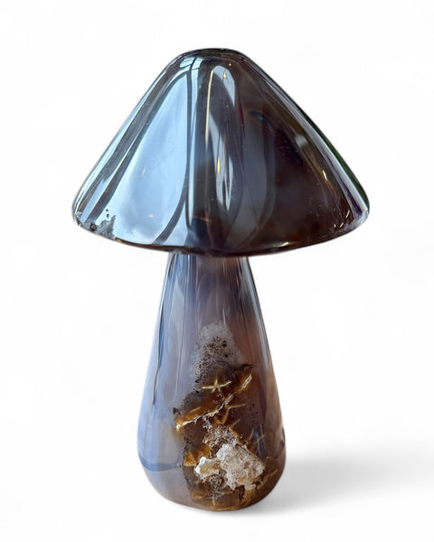 Agate mushrooms