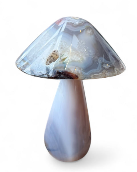 Agate mushrooms