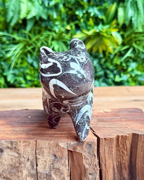 Carved stone cat figurine on a wooden surface with green foliage in the background