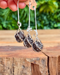 Silver pendants with dark prophecy stones on a wooden surface with greenery in the background