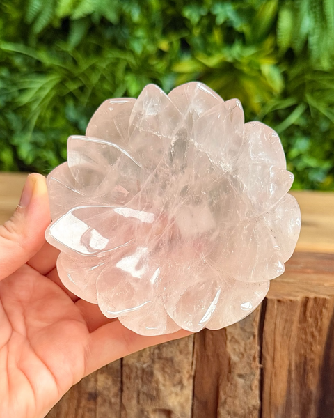 rose quartz lotus dish in hand