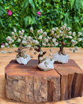 Three miniature crystal tree ornaments with silver-toned metallic branches and clear quartz bases, displayed on a rustic wood slice with a green foliage background.