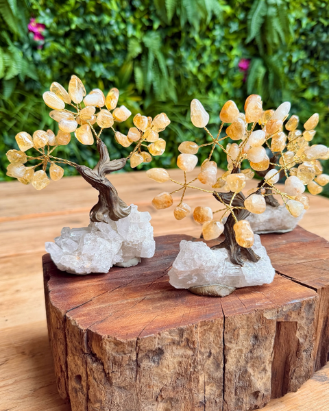 Two crystal tree bonsai sculptures made from yellow citrine and clear quartz crystals on a rustic wood slice, with a green foliage background.
