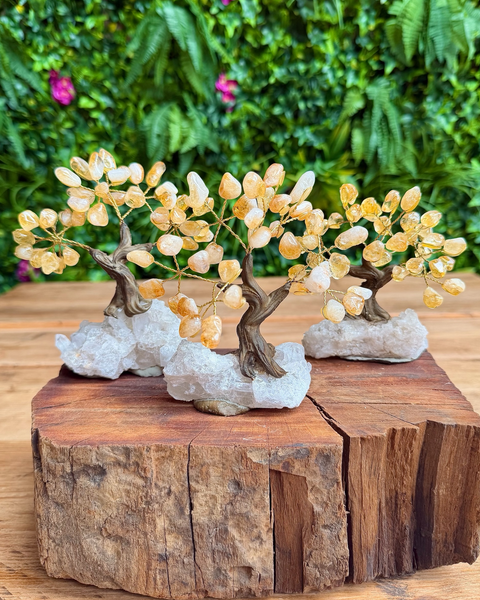 Three crystal mini bonsai trees with pale yellow and white flower-like crystals on textured brown tree trunks, mounted on white rock bases and displayed on a rustic wood slice with a green garden background.