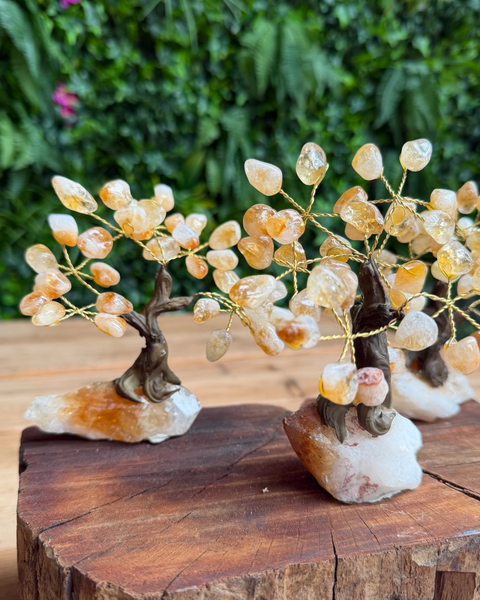 Two crystal tree figurines made of small amber and translucent stones on gold-tone wire, mounted on natural rock bases and displayed on a wooden surface with a blurred green outdoor background.