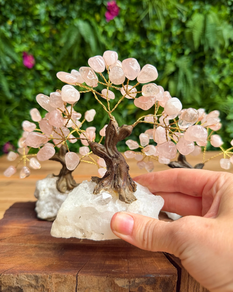 A rose quartz crystal tree of life miniature displayed on a wooden surface, with a hand holding the clear quartz base in the foreground and a blurred green foliage background.