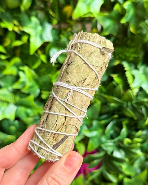 Hand holding a smudge stick wrapped in twine against a green leafy background