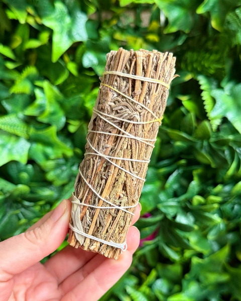 Bundled herbs tied with twine held in front of green foliage