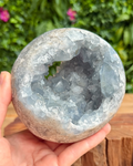 Geode crystal held in hand with greenery in the background