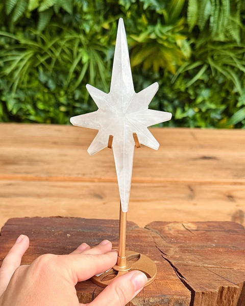 Decorative star-shaped crystal on a wooden surface with green foliage in the background
