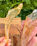 copal amber held in had with bug inclusions