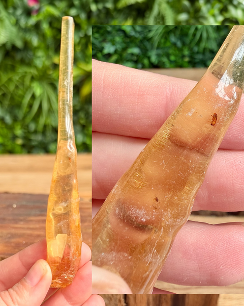 Transparent amber-like object held in a hand with a blurred green outdoor background