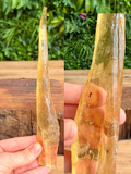crystal copal with bug insects inside
