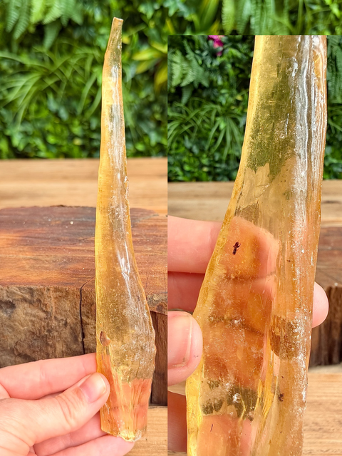 crystal copal with bug insects inside