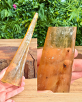 copal resin with insect inclusions inside