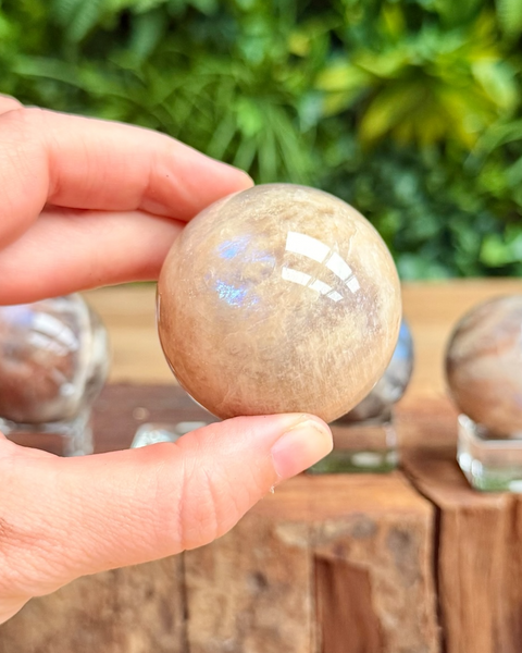 Hand holding a crystal moonstone sphere with a blurred green outdoor background