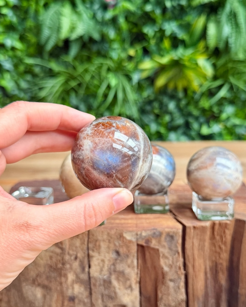 Person holding a polished moonstone sphere with more stones in the background on a wooden surface.